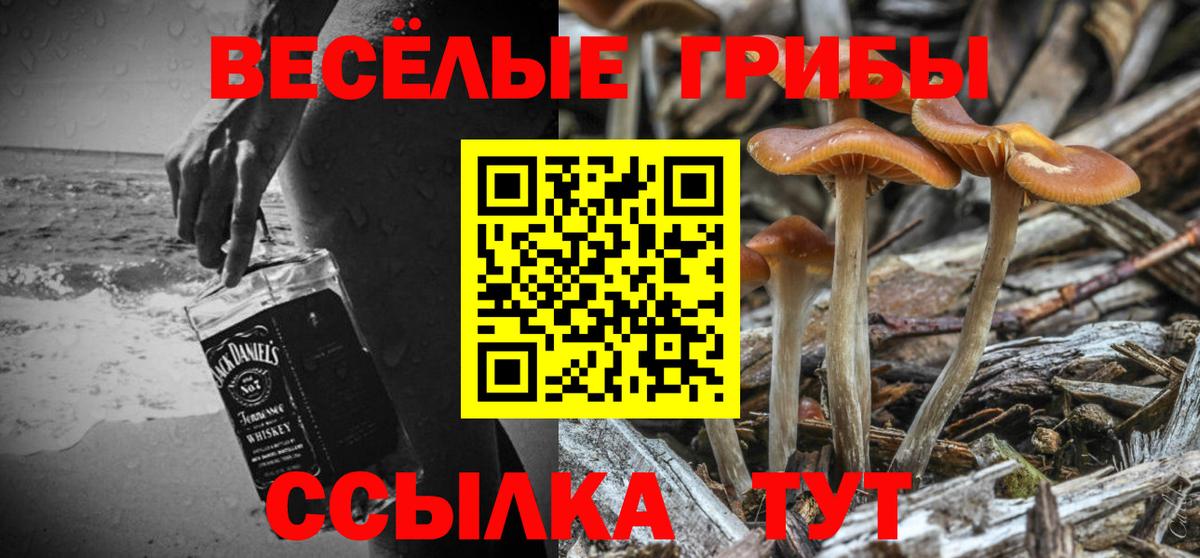 наркотики  Вход с VPN  Сафоново  Галлюциногенные грибы Cubensis 